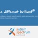 Strive For Autism Directory