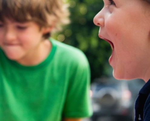 Strive For Autism Directory