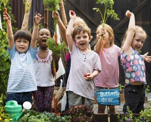 Strive For Autism Directory