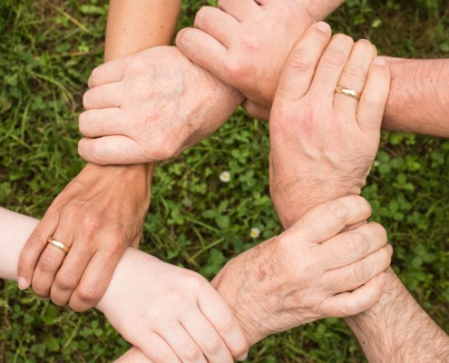 Strive For Autism Directory