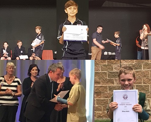 Strive for Autism Recipients 2017 01 (495x400) Strive for Autism - Strive Awards